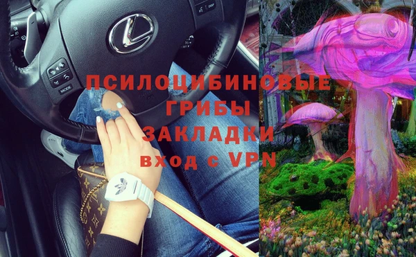 стафф Алексеевка